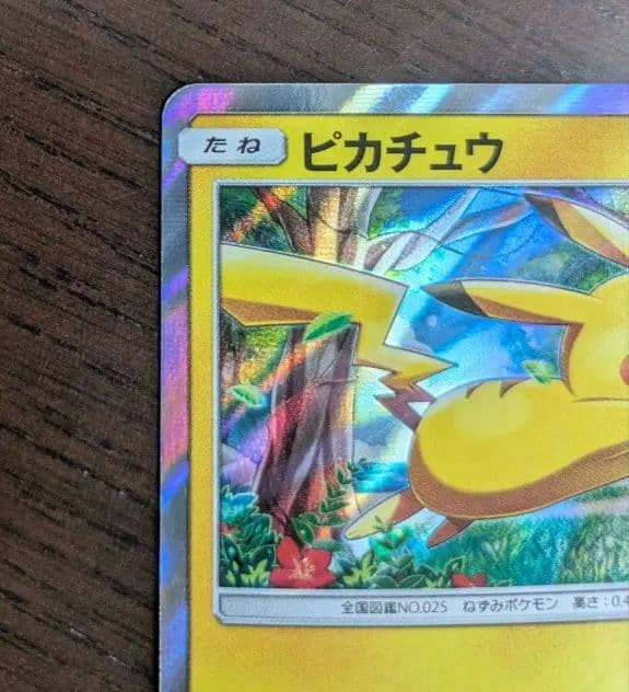 ピカチュウ [SM0 004/004](ピカチュウと新しい仲間たち)