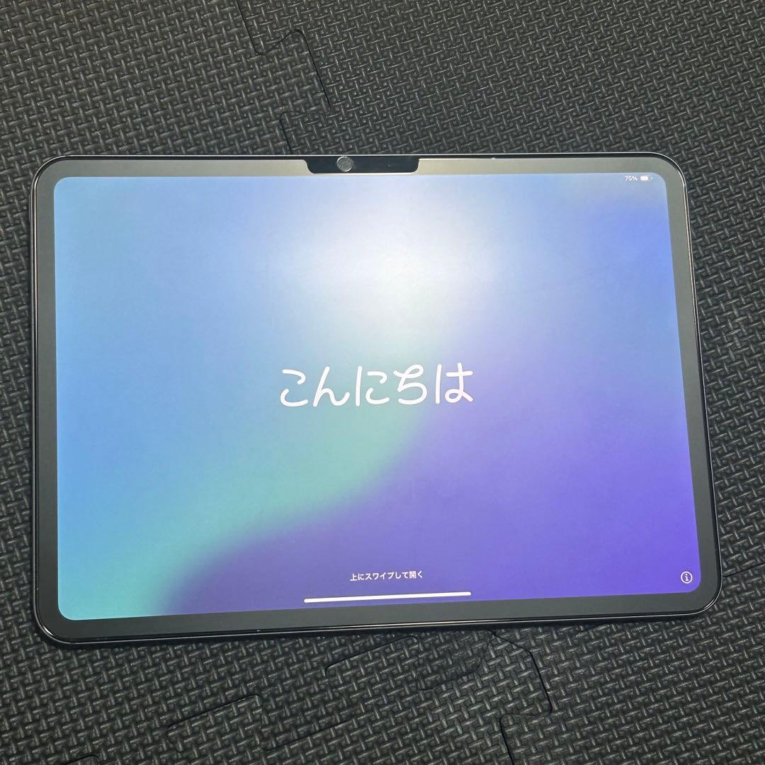 (即日発送・即対応)iPad Pro(M4)11インチスペースブラック120hz